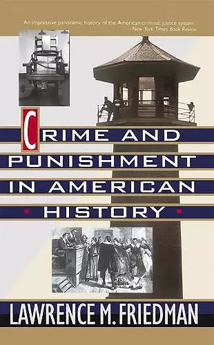 Crime And Punishment In American History cover