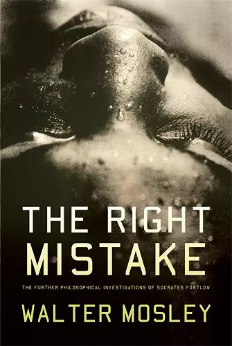 The Right Mistake cover