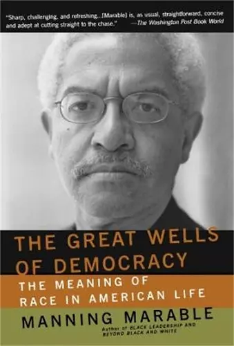 The Great Wells Of Democracy cover
