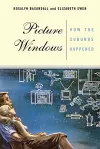 Picture Windows cover