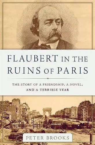 Flaubert in the Ruins of Paris cover