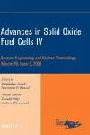 Advances in Solid Oxide Fuel Cells IV, Volume 29, Issue 5 cover