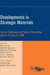 Developments in Strategic Materials, Volume 29, Issue 10 cover