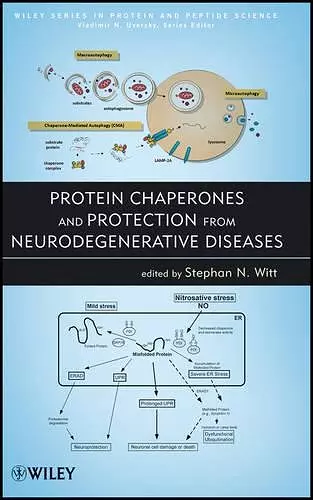 Protein Chaperones and Protection from Neurodegenerative Diseases cover