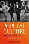 Popular Culture in American History cover