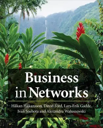 Business in Networks cover