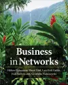 Business in Networks cover