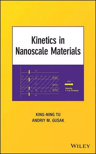 Kinetics in Nanoscale Materials cover