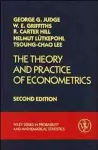 The Theory and Practice of Econometrics cover