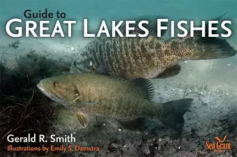 Guide to Great Lakes Fishes cover