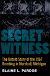 Secret Witness cover