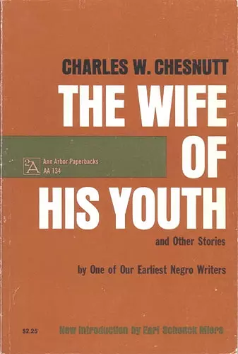 The Wife of His Youth and Other Stories cover