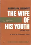 The Wife of His Youth and Other Stories cover