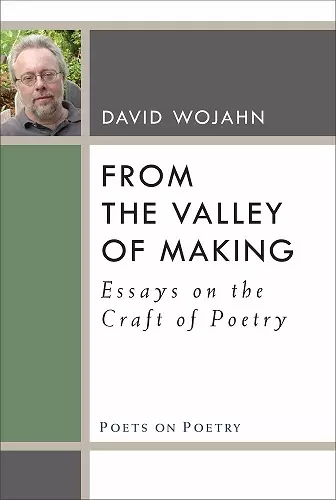 From the Valley of Making cover