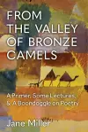 From the Valley of Bronze Camels cover