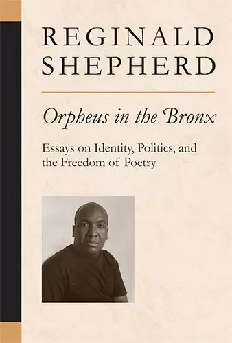 Orpheus in the Bronx cover