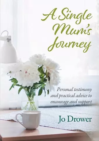 A Single Mum's Journey cover