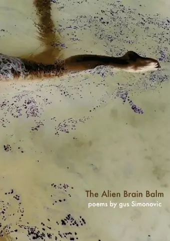 The Alien Brain Balm cover