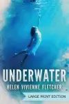 Underwater cover