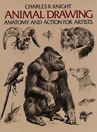 Animal Drawing cover