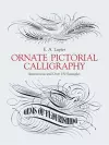 Ornate Pictorial Calligraphy cover