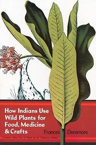 How Indians Use Wild Plants for Food, Medicine and Crafts cover