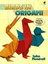Birds in Origami packaging