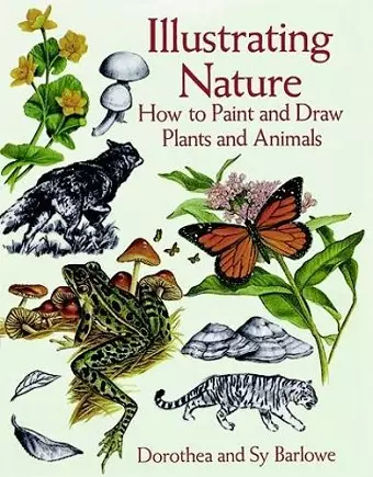 Illustrating Nature cover
