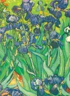 Van Gogh Notebook cover