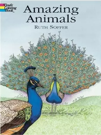 Amazing Animals Coloring Book cover