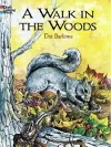 A Walk in the Woods Coloring Book cover