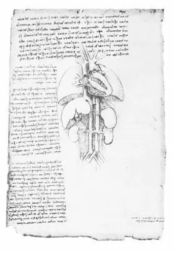 Leonardo'S Anatomical Drawings cover