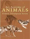 Art Anatomy of Animals cover