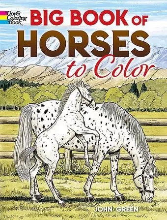 Big Book of Horses to Color cover