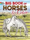 Big Book of Horses to Color cover