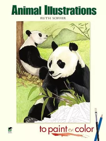 Animal Illustrations to Paint or Color cover
