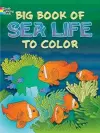 Big Book of Sea Life to Color cover