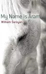 My Name is ARAM cover