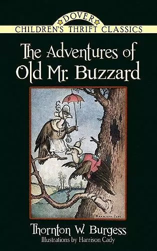 The Adventures of Old Mr. Buzzard cover