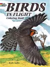 Birds in Flight Coloring Book cover
