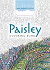 Bliss Paisley Coloring Book cover