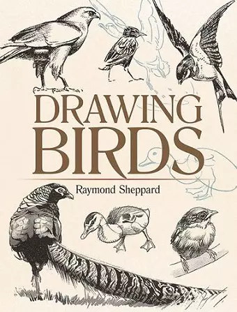 Drawing Birds cover