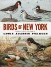 Birds of New York cover