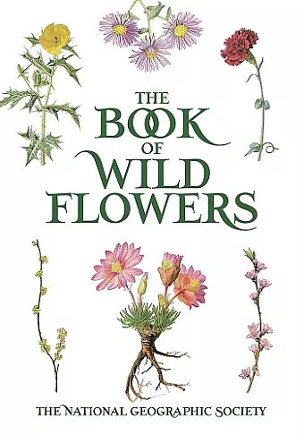 Book of Wild Flowers cover