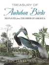 Treasury of Audubon Birds cover