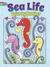 Sea Life Color by Number cover