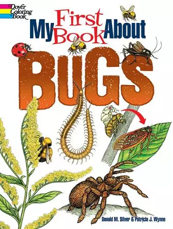 My First Book About Bugs cover