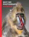 Why We Photograph Animals cover