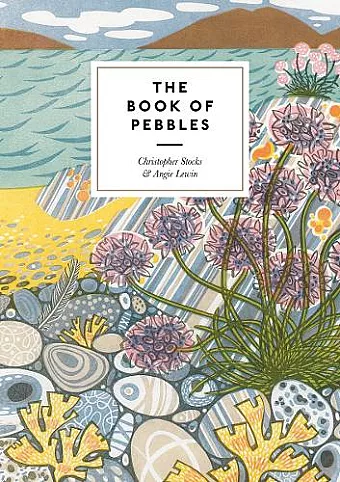 The Book of Pebbles cover
