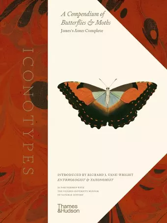 Iconotypes cover